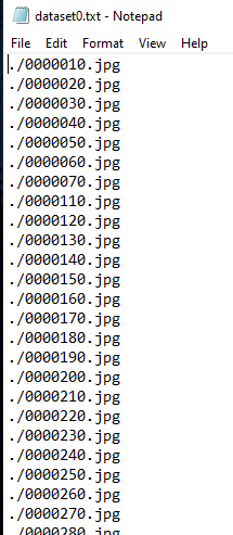 dataset txt format